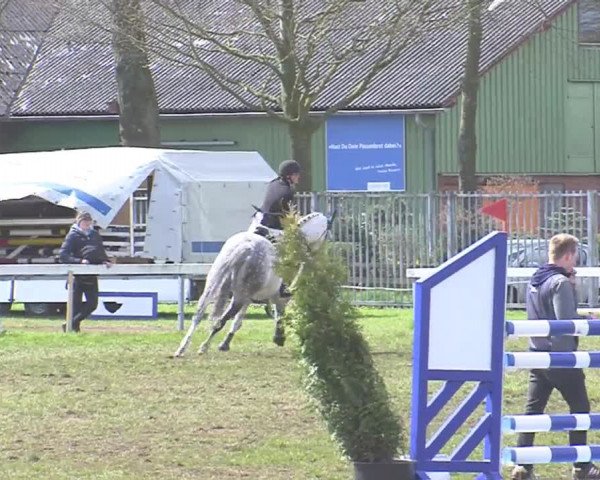 Reitturnier Rendsburg 2016