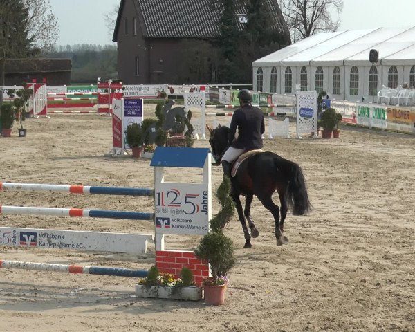 Lenklarer Reitertage 2016