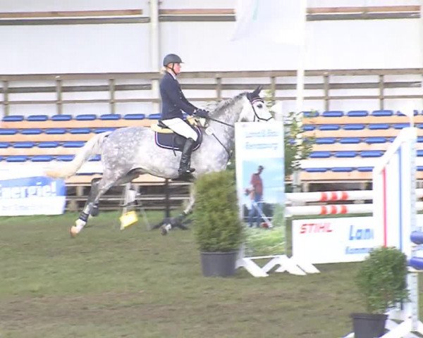Reitturnier Rendsburg 2016