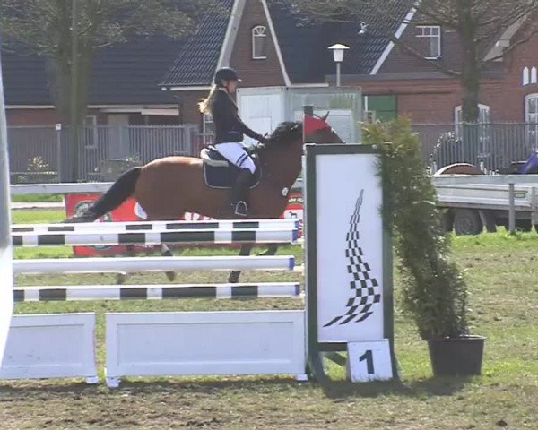 Reitturnier Rendsburg 2016