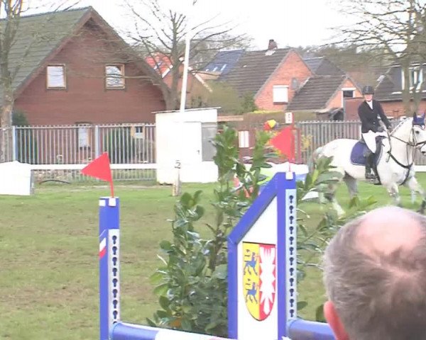 Reitturnier Rendsburg 2016