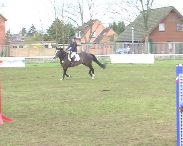 Reitturnier Rendsburg 2016