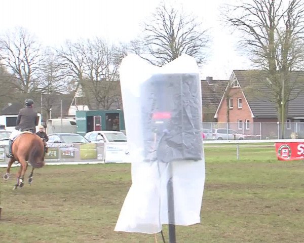 Reitturnier Rendsburg 2016