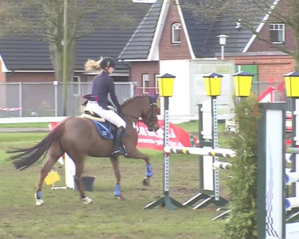 Reitturnier Rendsburg 2016
