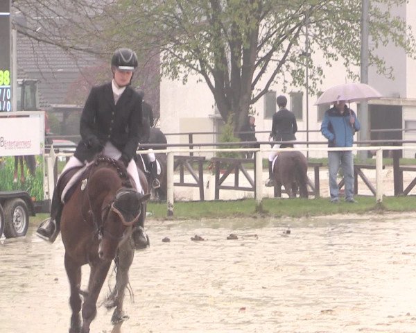 Reitturnier Spenge-Wallenbrück 2016