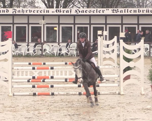 Reitturnier Spenge-Wallenbrück 2016