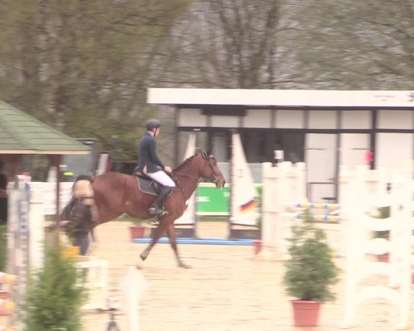 Reitturnier Spenge-Wallenbrück 2016