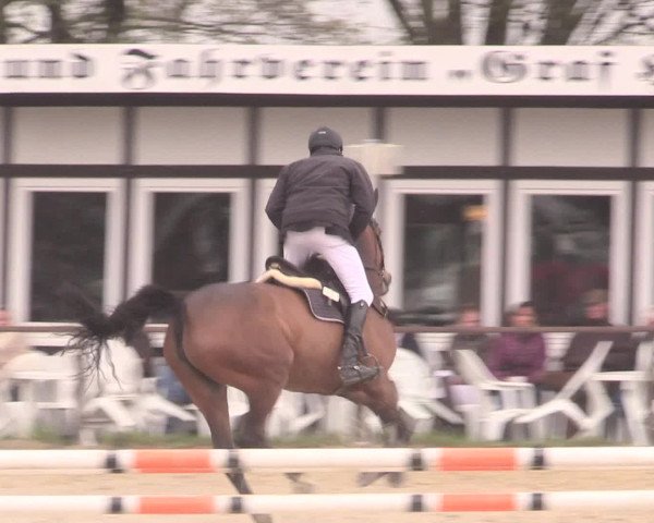 Reitturnier Spenge-Wallenbrück 2016