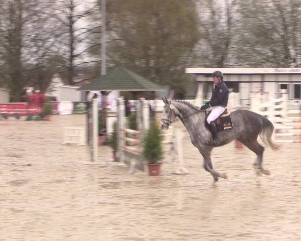 Reitturnier Spenge-Wallenbrück 2016