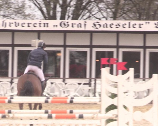 Reitturnier Spenge-Wallenbrück 2016