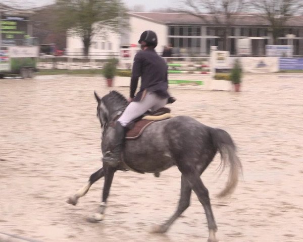 Reitturnier Spenge-Wallenbrück 2016