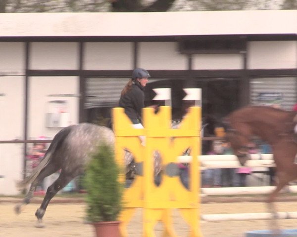 Reitturnier Spenge-Wallenbrück 2016