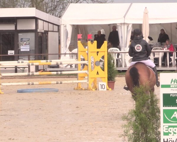 Reitturnier Spenge-Wallenbrück 2016