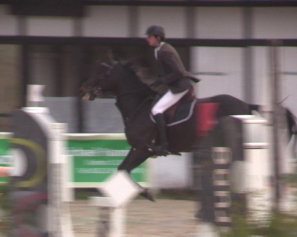 Reitturnier Spenge-Wallenbrück 2016