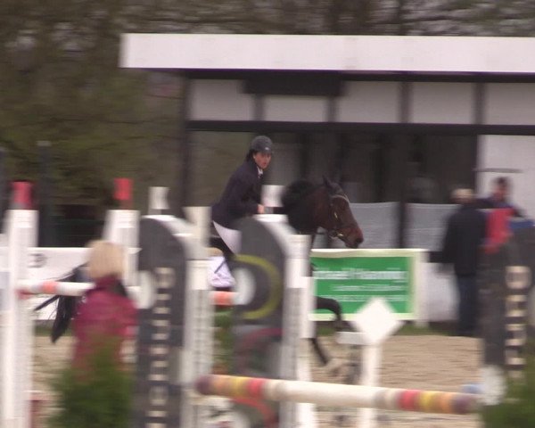 Reitturnier Spenge-Wallenbrück 2016