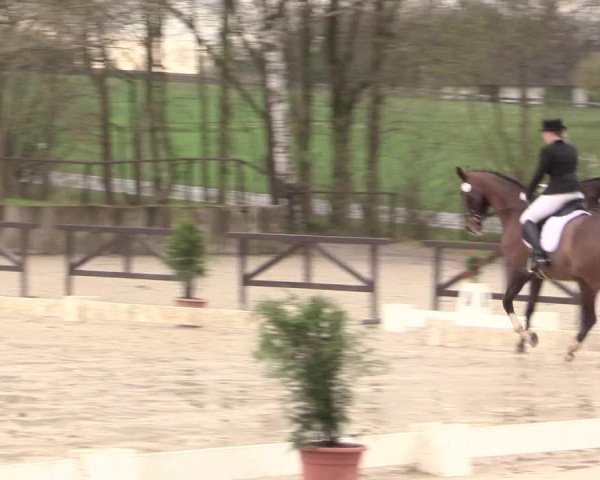 Reitturnier Spenge-Wallenbrück 2016