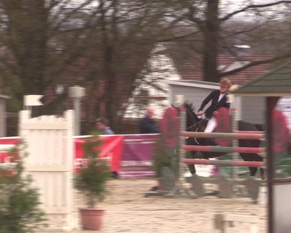 Reitturnier Spenge-Wallenbrück 2016