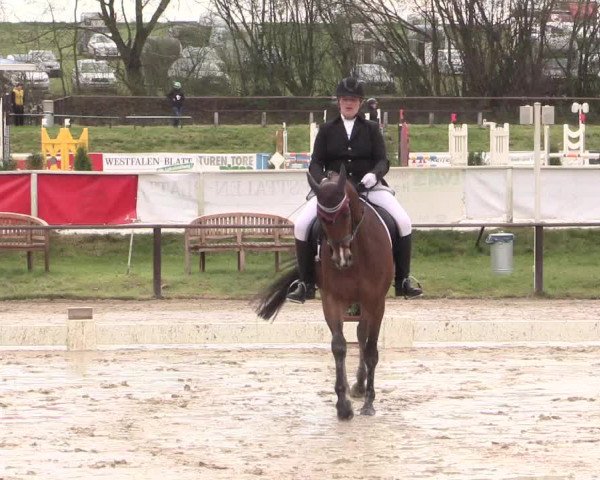 Reitturnier Spenge-Wallenbrück 2016