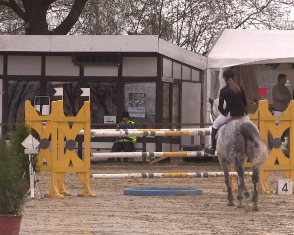 Reitturnier Spenge-Wallenbrück 2016