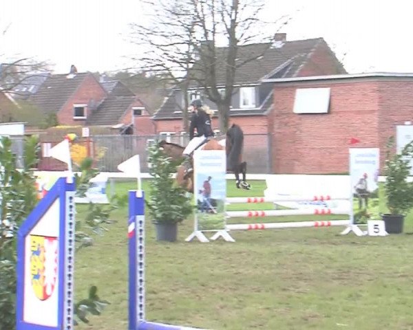 Reitturnier Rendsburg 2016