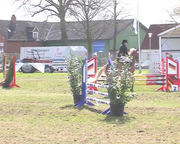 Reitturnier Rendsburg 2016