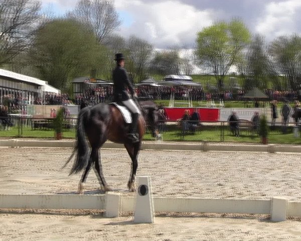 Reitturnier Spenge-Wallenbrück 2016