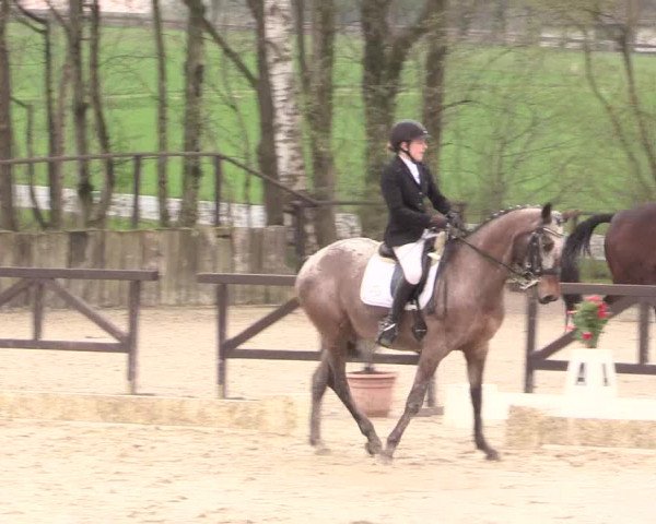 Reitturnier Spenge-Wallenbrück 2016