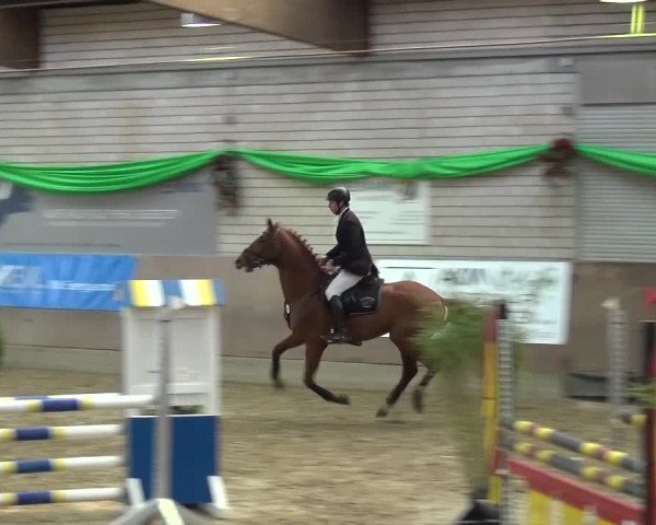 Reitturnier Leverkusen-Rheindorf 2016