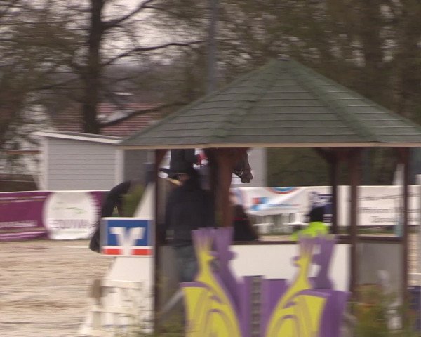 Reitturnier Spenge-Wallenbrück 2016
