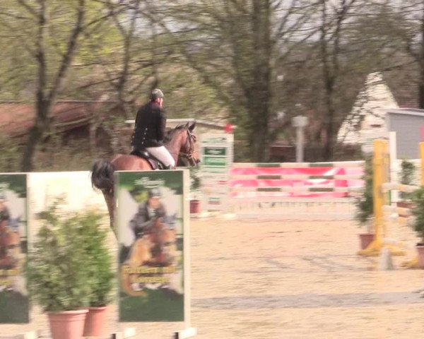 Reitturnier Spenge-Wallenbrück 2016