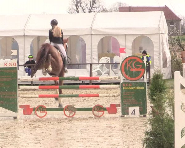 Reitturnier Spenge-Wallenbrück 2016