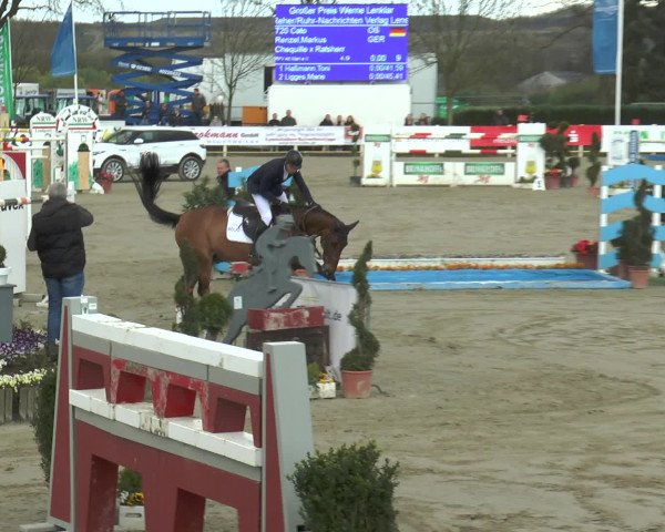 Reitturnier Werne-Lenklar 2016