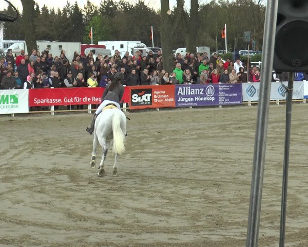 Lenklarer Reitertage 2016