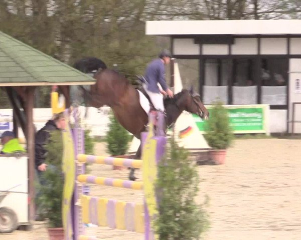 Reitturnier Spenge-Wallenbrück 2016