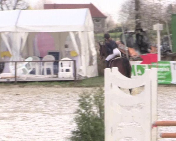 Reitturnier Spenge-Wallenbrück 2016