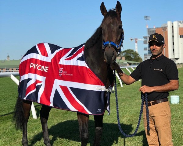 horse Pivoine xx (Thoroughbred, 2014, from Redoute's Choice xx)