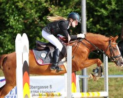 jumper Winyard 3 (German Riding Pony, 2006, from Top Karetino)