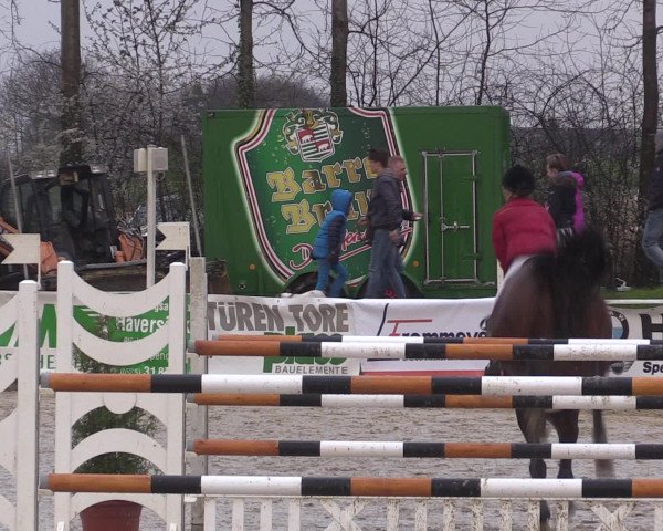 Reitturnier Spenge-Wallenbrück 2016