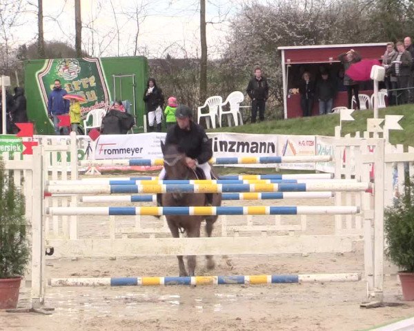 Reitturnier Spenge-Wallenbrück 2016