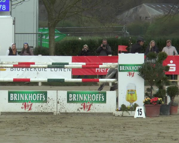 Lenklarer Reitertage 2016