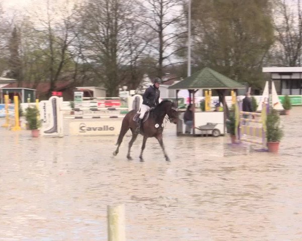 Reitturnier Spenge-Wallenbrück 2016