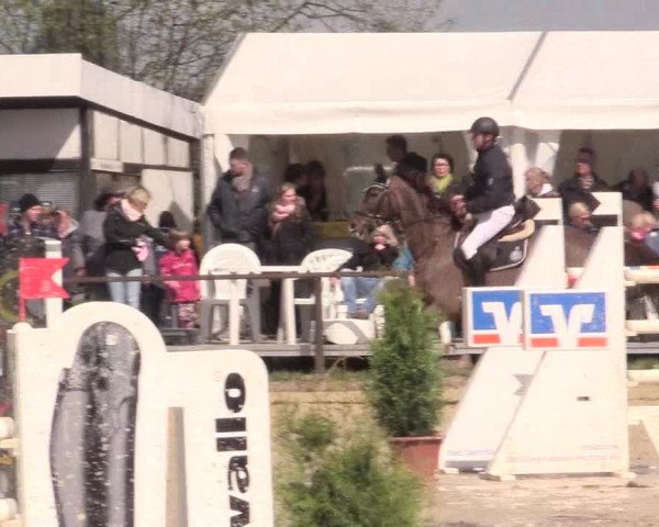 Reitturnier Spenge-Wallenbrück 2016