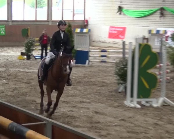 Reitturnier Leverkusen-Rheindorf 2016