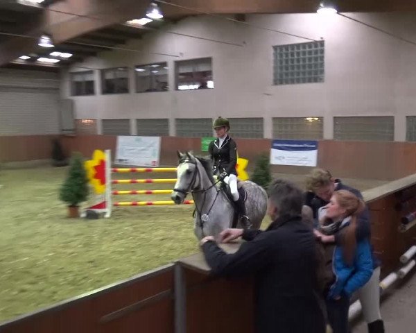 Reitturnier Leverkusen-Rheindorf 2016