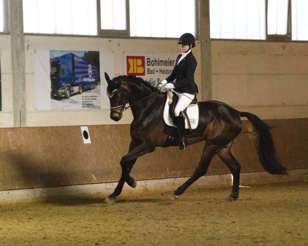 dressage horse Rheinfall (Oldenburg, 2010, from Rock Forever NRW)