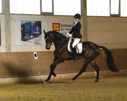 dressage horse Rheinfall (Oldenburg, 2010, from Rock Forever NRW)