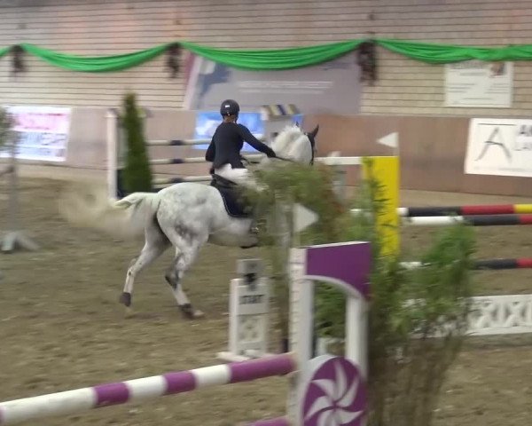 Reitturnier Leverkusen-Rheindorf 2016