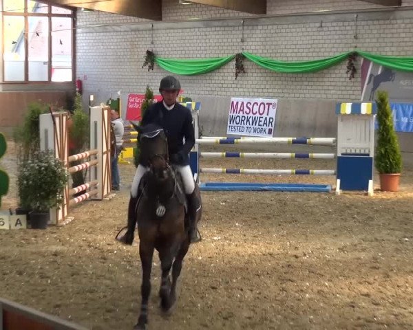 Reitturnier Leverkusen-Rheindorf 2016