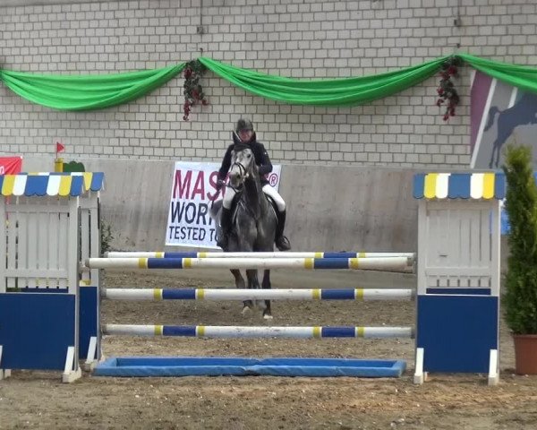 Reitturnier Leverkusen-Rheindorf 2016