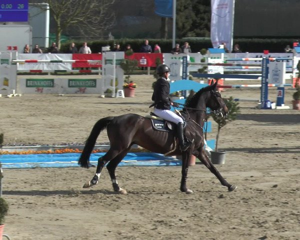 Lenklarer Reitertage 2016